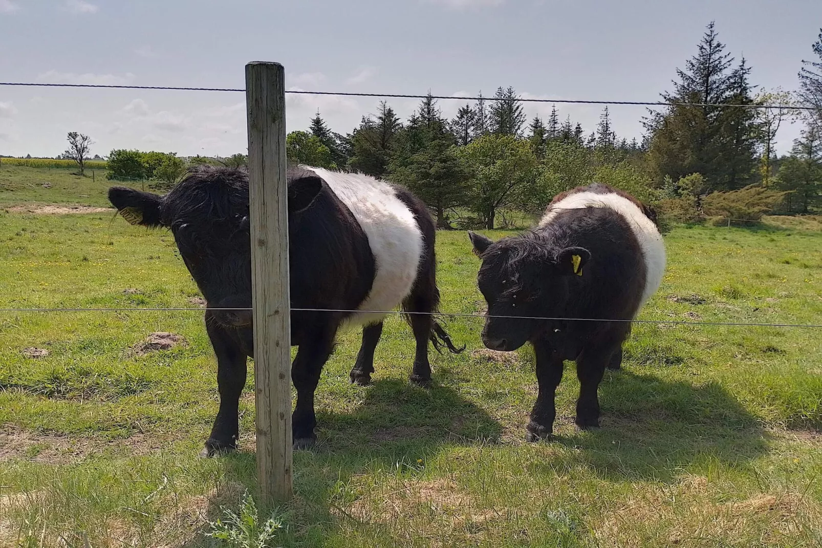 7 persoons vakantie huis in Fjerritslev-By Traum-Niet-getagd