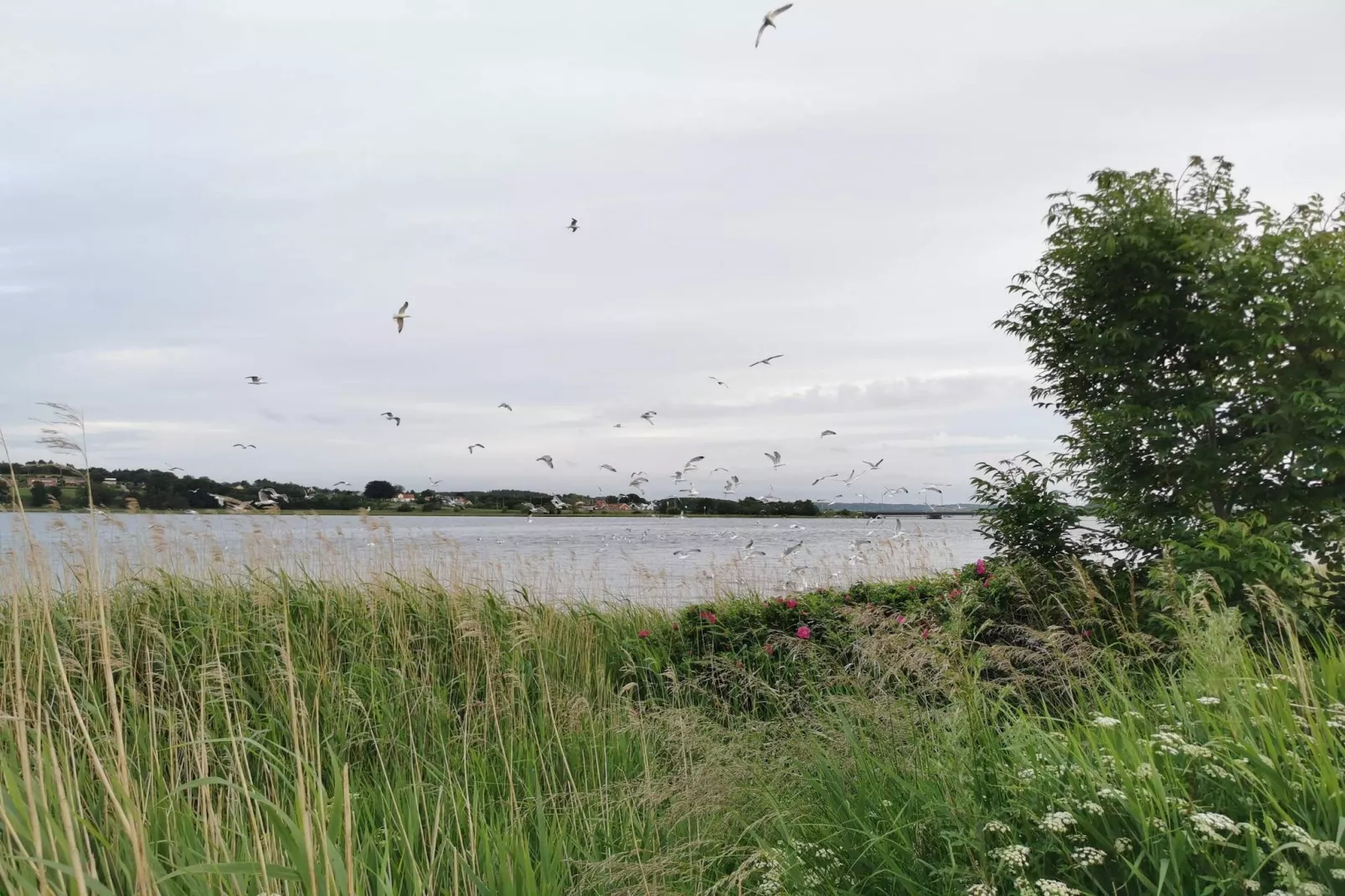 4 persoons vakantie huis in Hadsund-By Traum