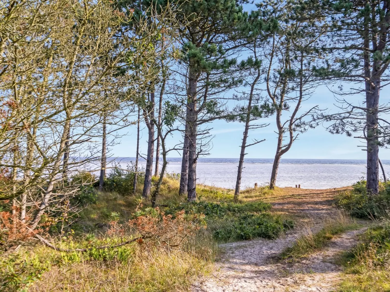 "Amai" - 100m from the sea-Buiten