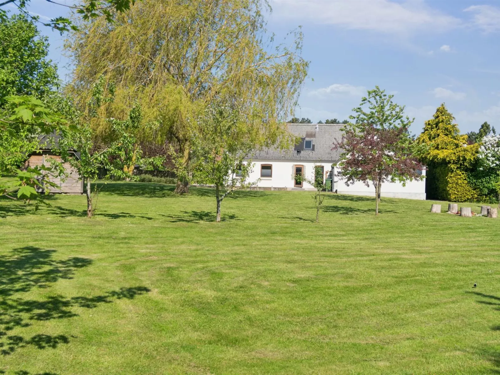 "Teodora" - 3km from the sea-Buiten