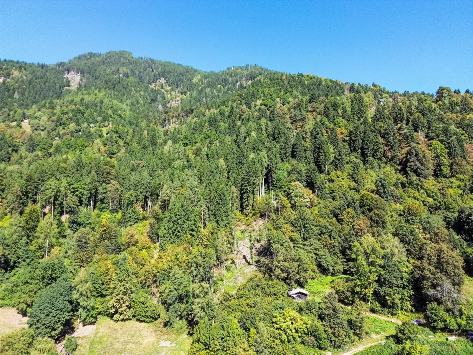 Häuschen am Waldrand-Buiten