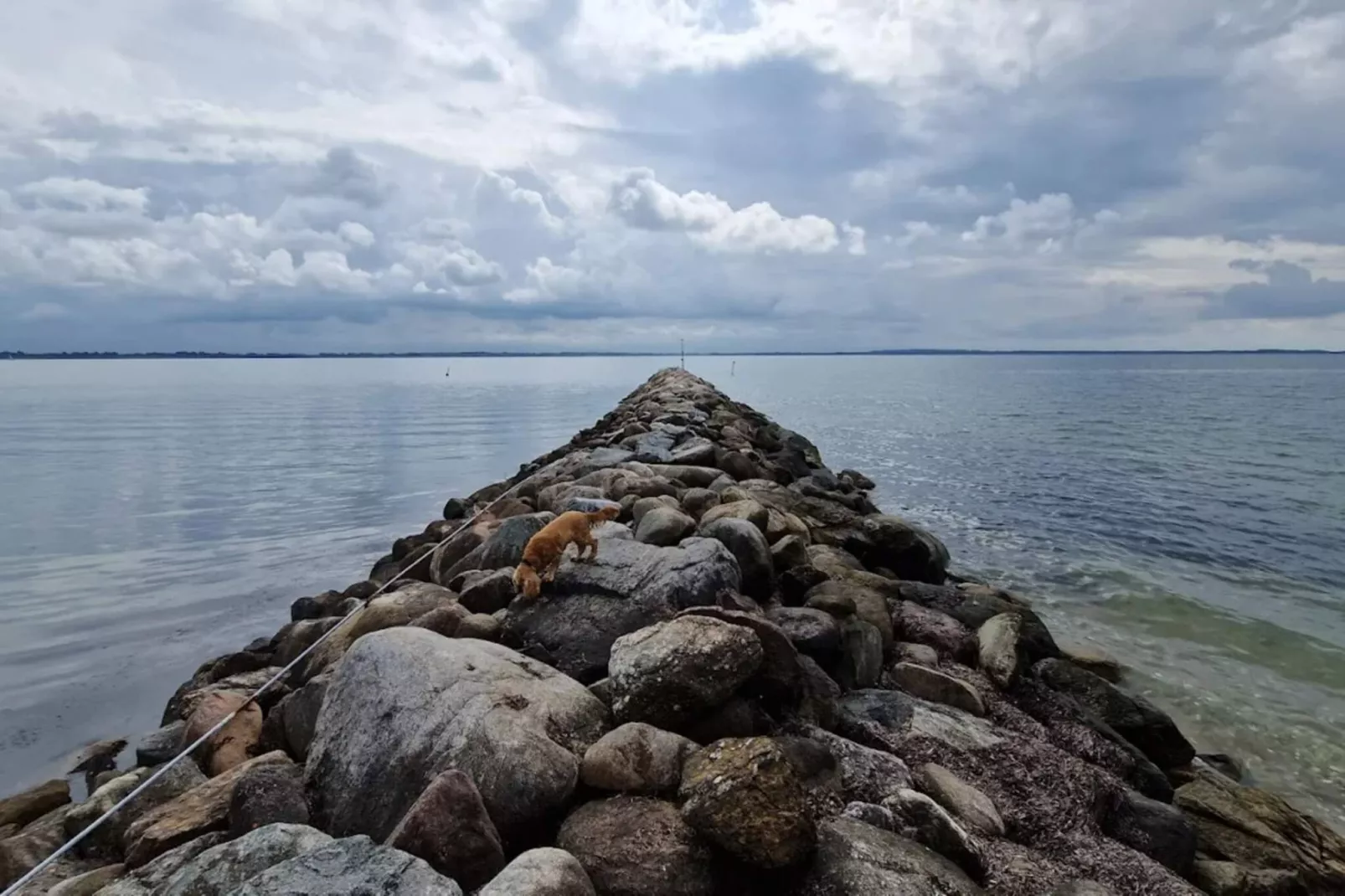 4 sterren vakantie huis in Øster Assels-By Traum-Waterzicht