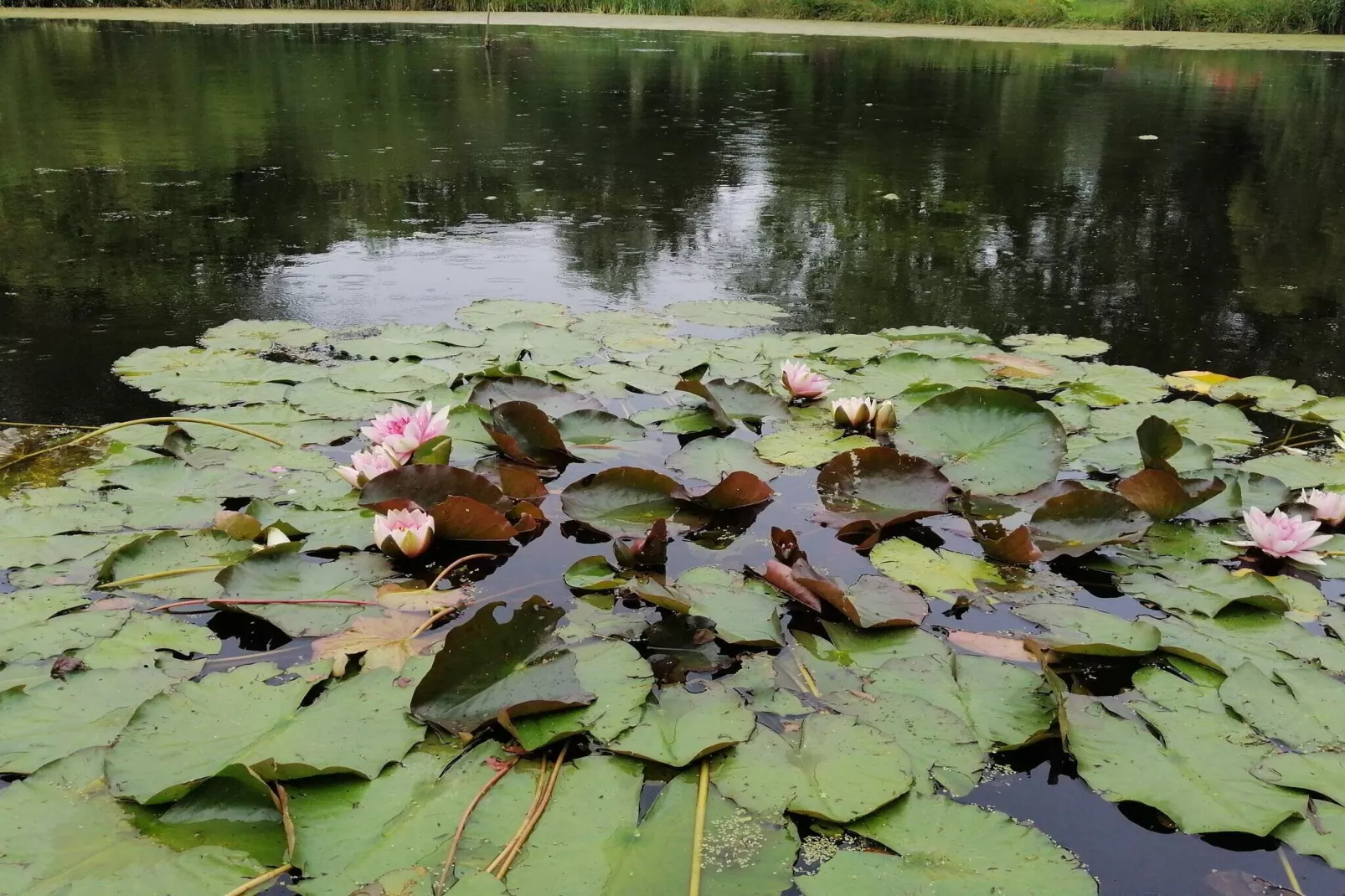 Gezellig toevluchtsoord bij Koge Bay -- By Traum Ferienwohnungen-Waterzicht