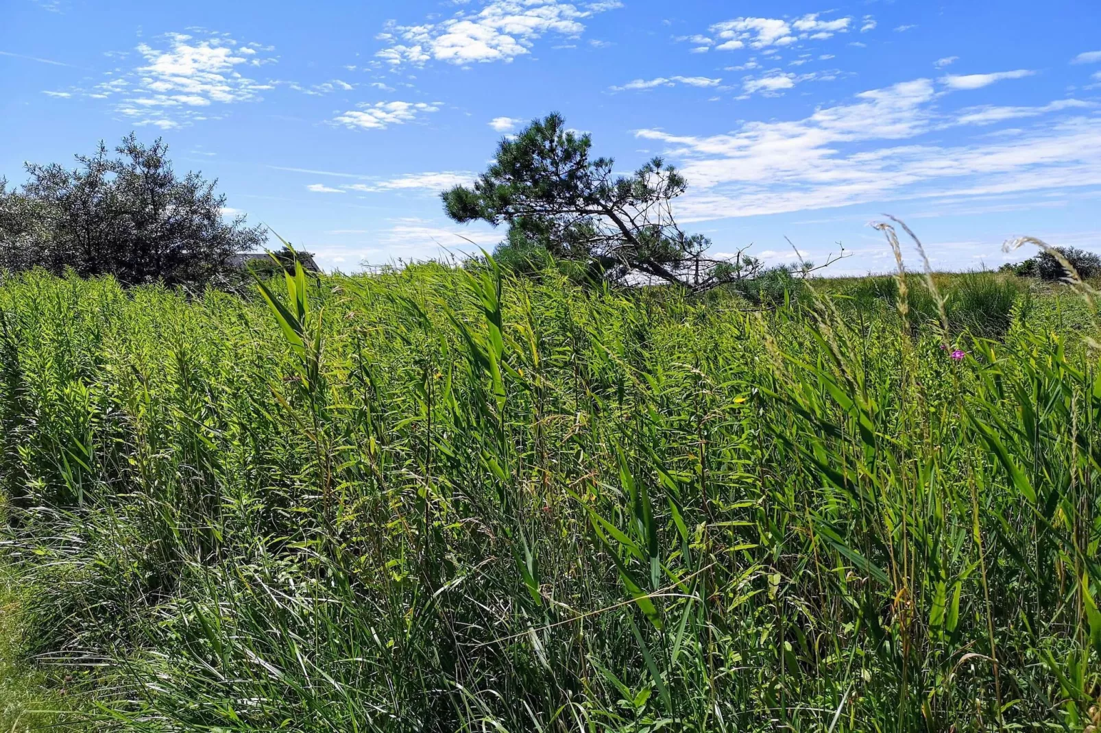 4 persoons vakantie huis in Karrebæksminde-Niet-getagd