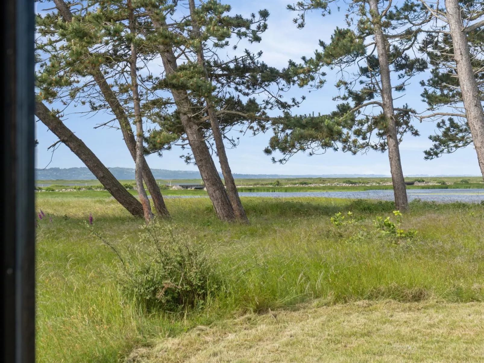 "Felis" - 575m from the sea-Buiten