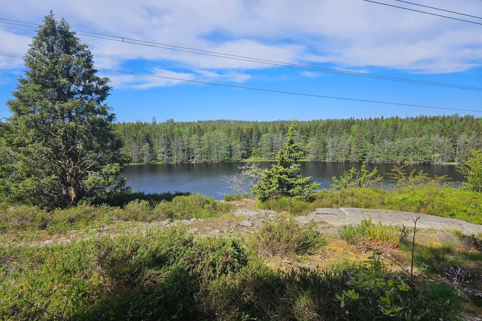 4 persoons vakantie huis in DALS ROSTOCK