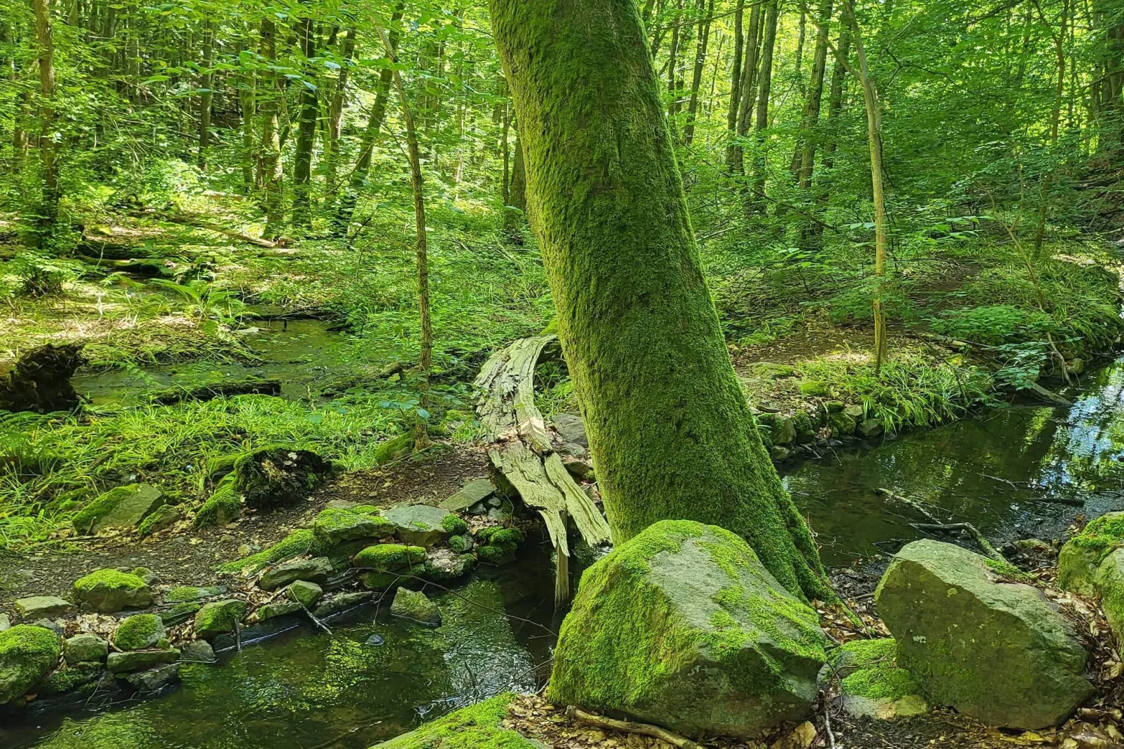 4 sterren vakantie huis in Gärsnäs-Niet-getagd