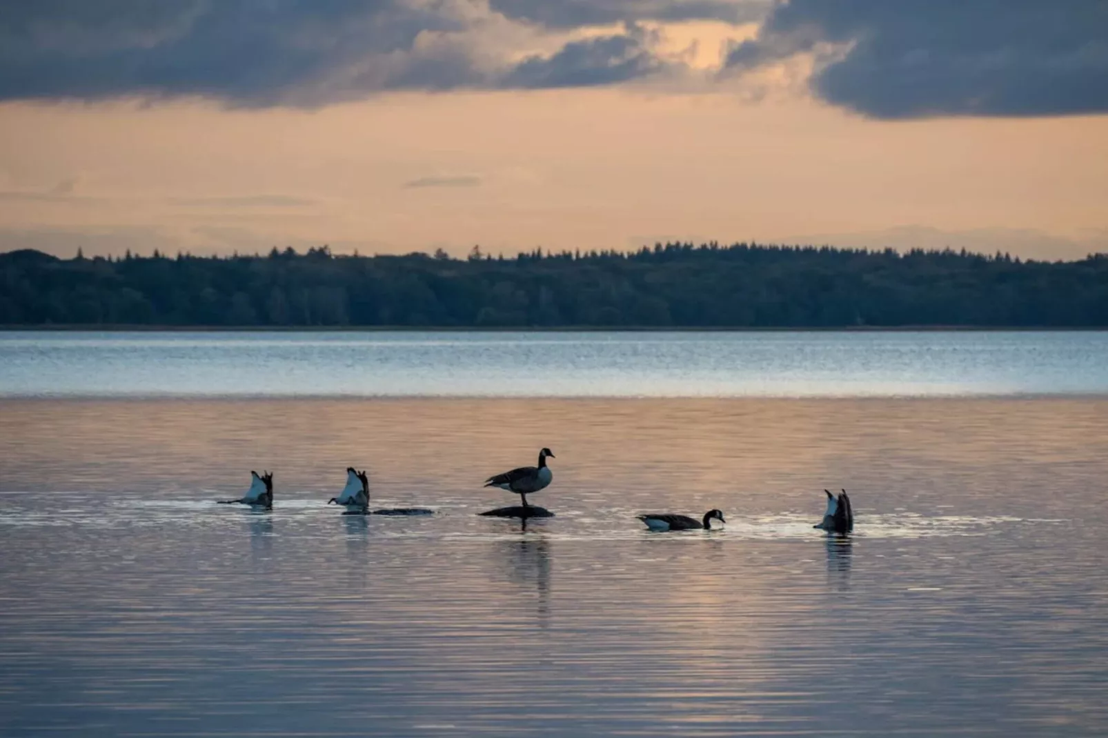 5 persoons vakantie huis in Frederiksværk-By Traum-Waterzicht