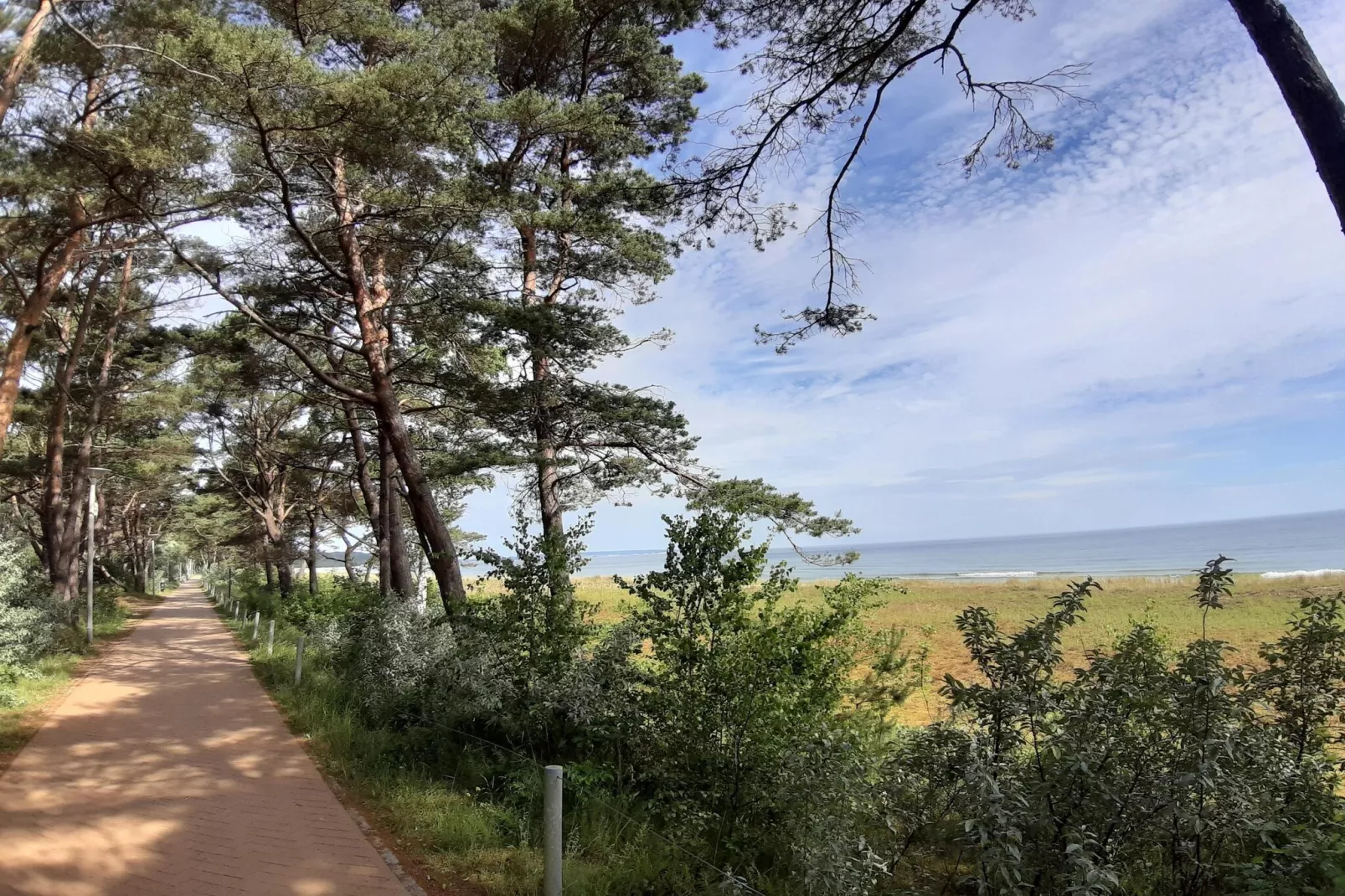 Seepark Sellin - 1 Person-Gebieden zomer 5km