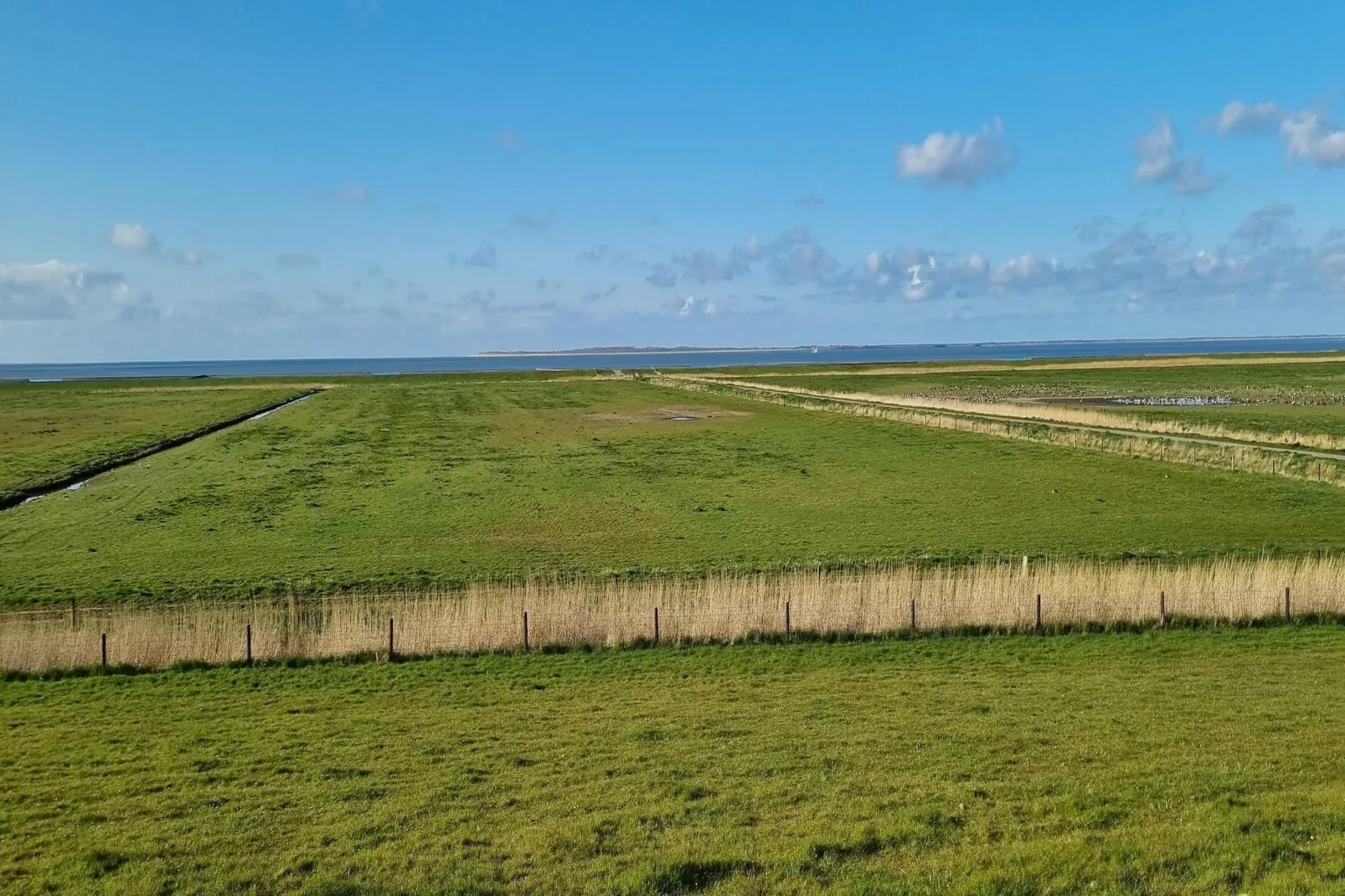 Doppelhaushälfte Wattwurm 34-Gebieden zomer 5km