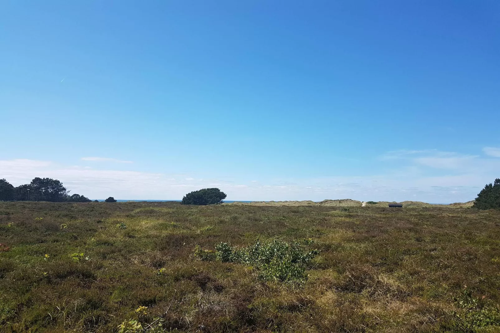 4 Personen vakantie huis in Læsø-Niet-getagd