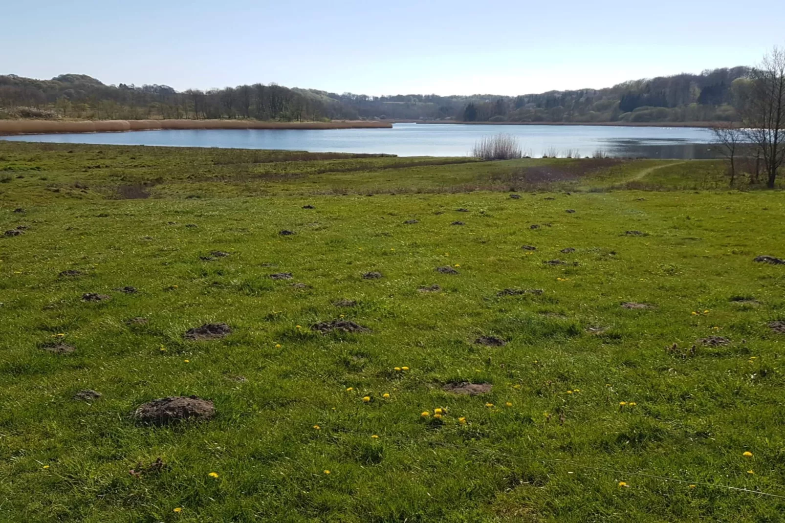 4 Personen vakantie huis in Haderslev-Waterzicht