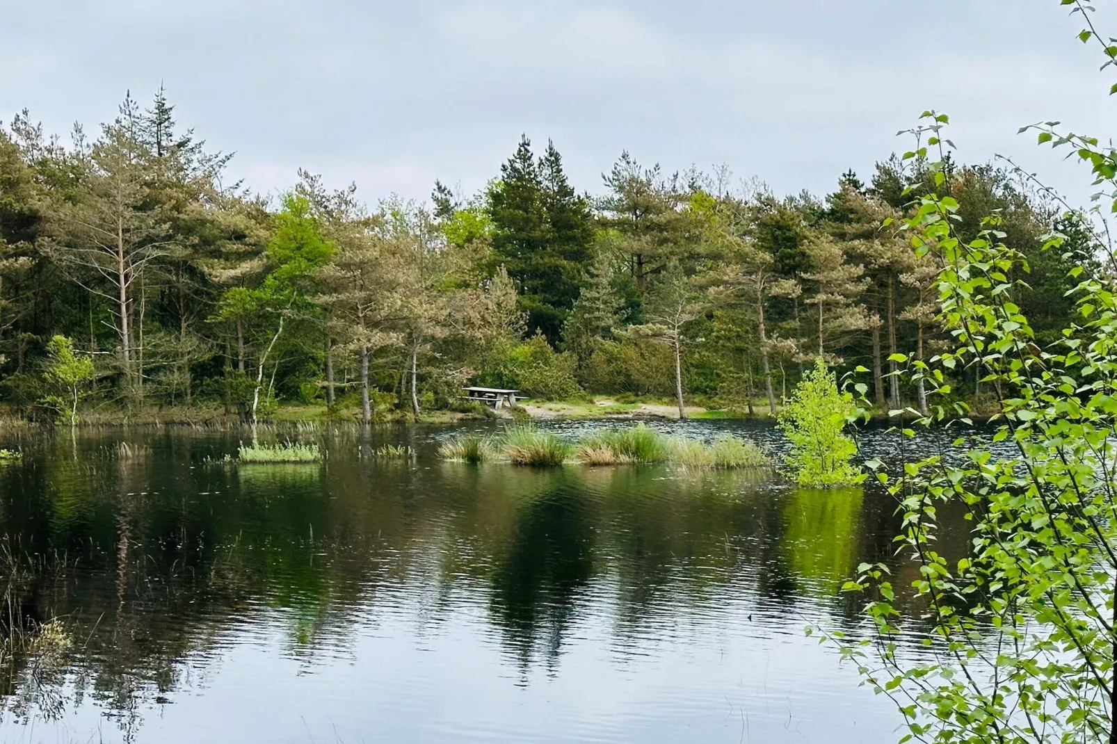 5 sterren vakantie huis in Rømø-Waterzicht