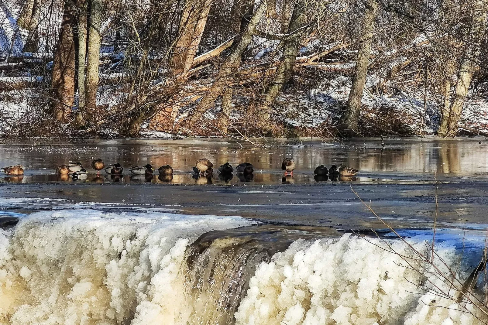4 sterren vakantie huis in MUNKA-LJUNGBY-Waterzicht