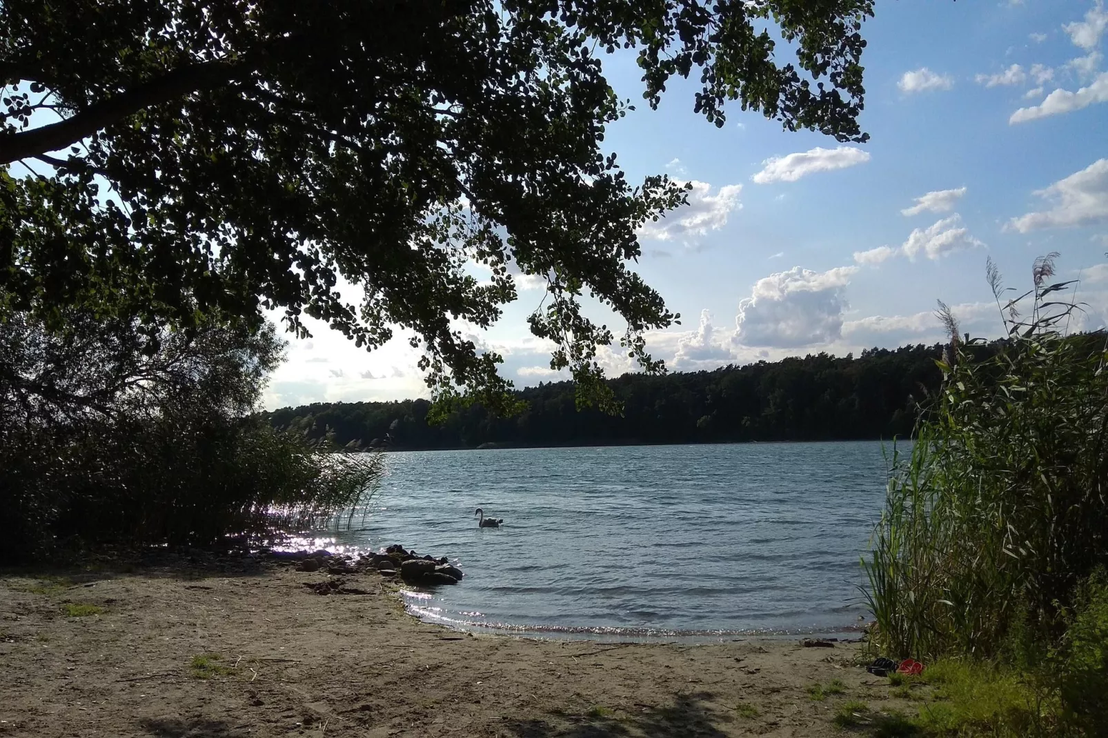 Luxus Appartement / 7 Personen-Gebieden zomer 1km