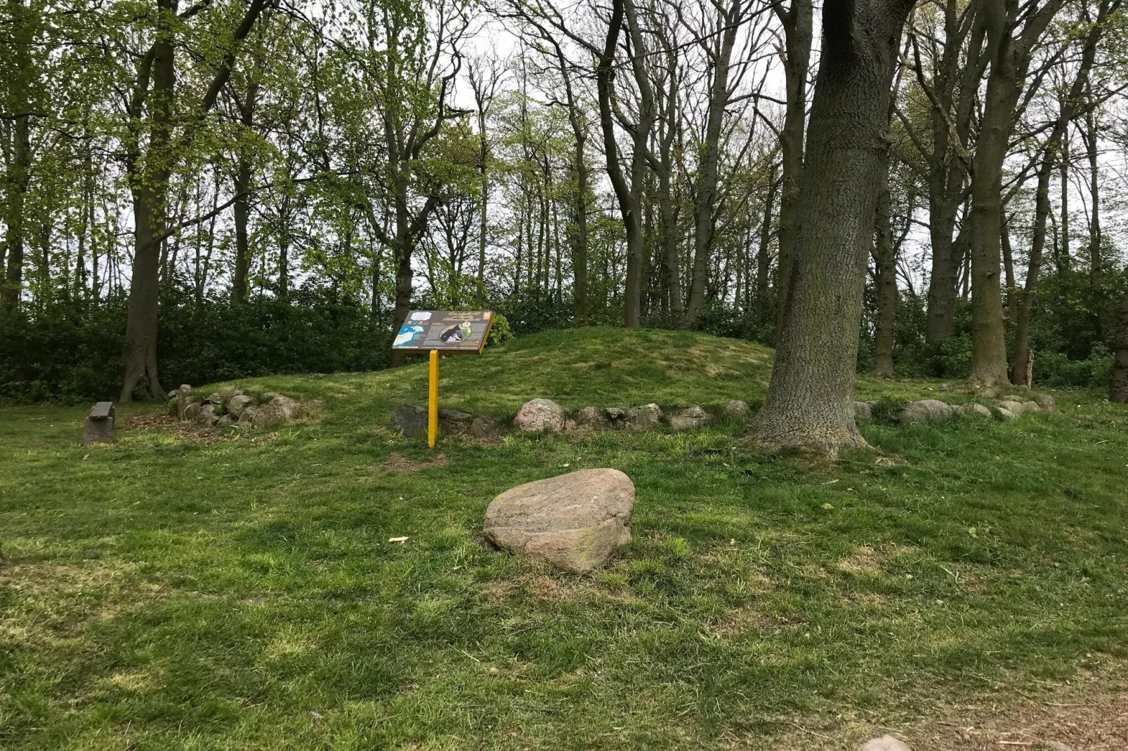 Ferienhaus Petersdorf 5 P-Gebieden zomer 5km