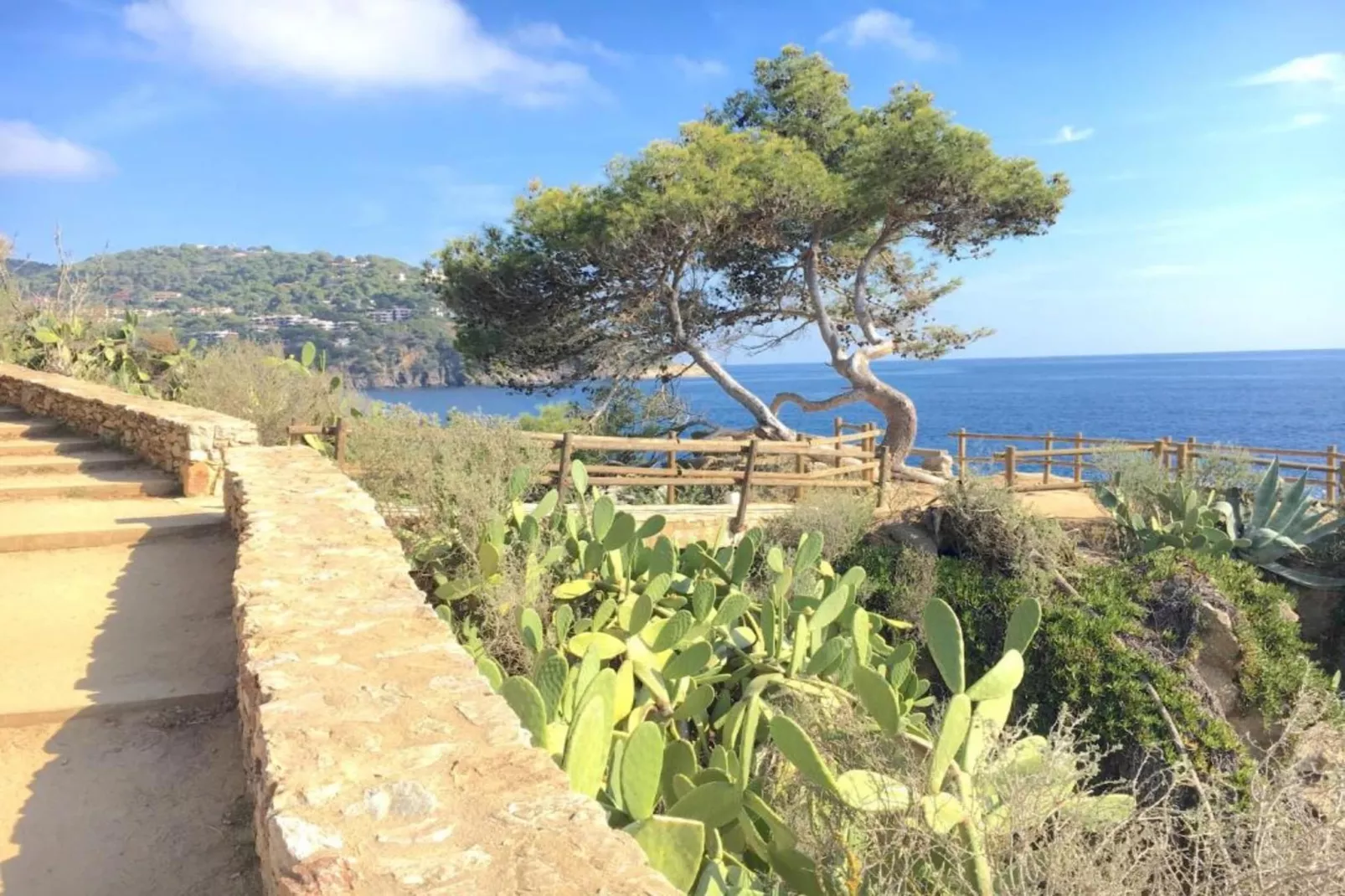 Ronda-Gebieden zomer 20km