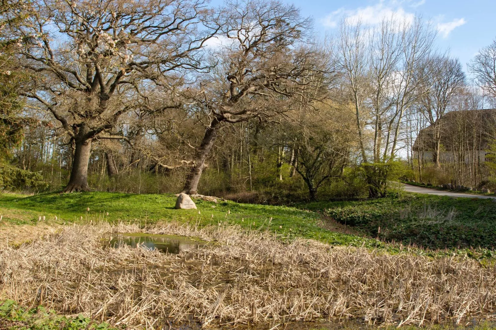 Mooi huisje vlakbij het strand-Niet-getagd