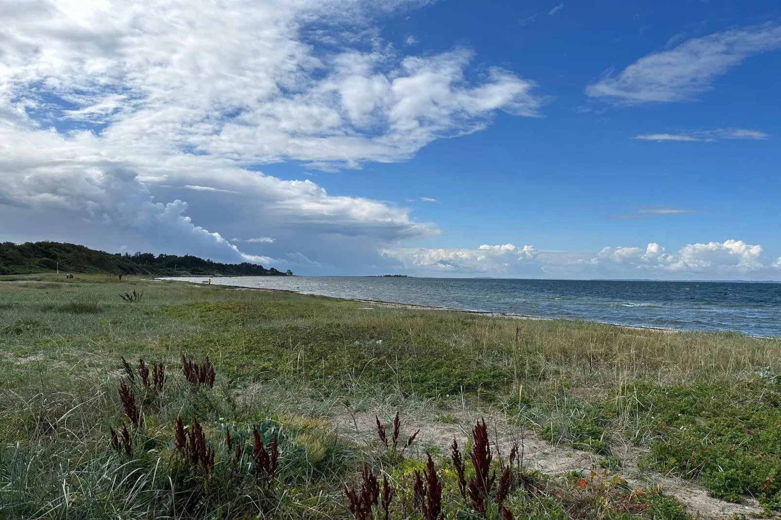 8 Personen vakantie huis in Jægerspris - Waterzicht