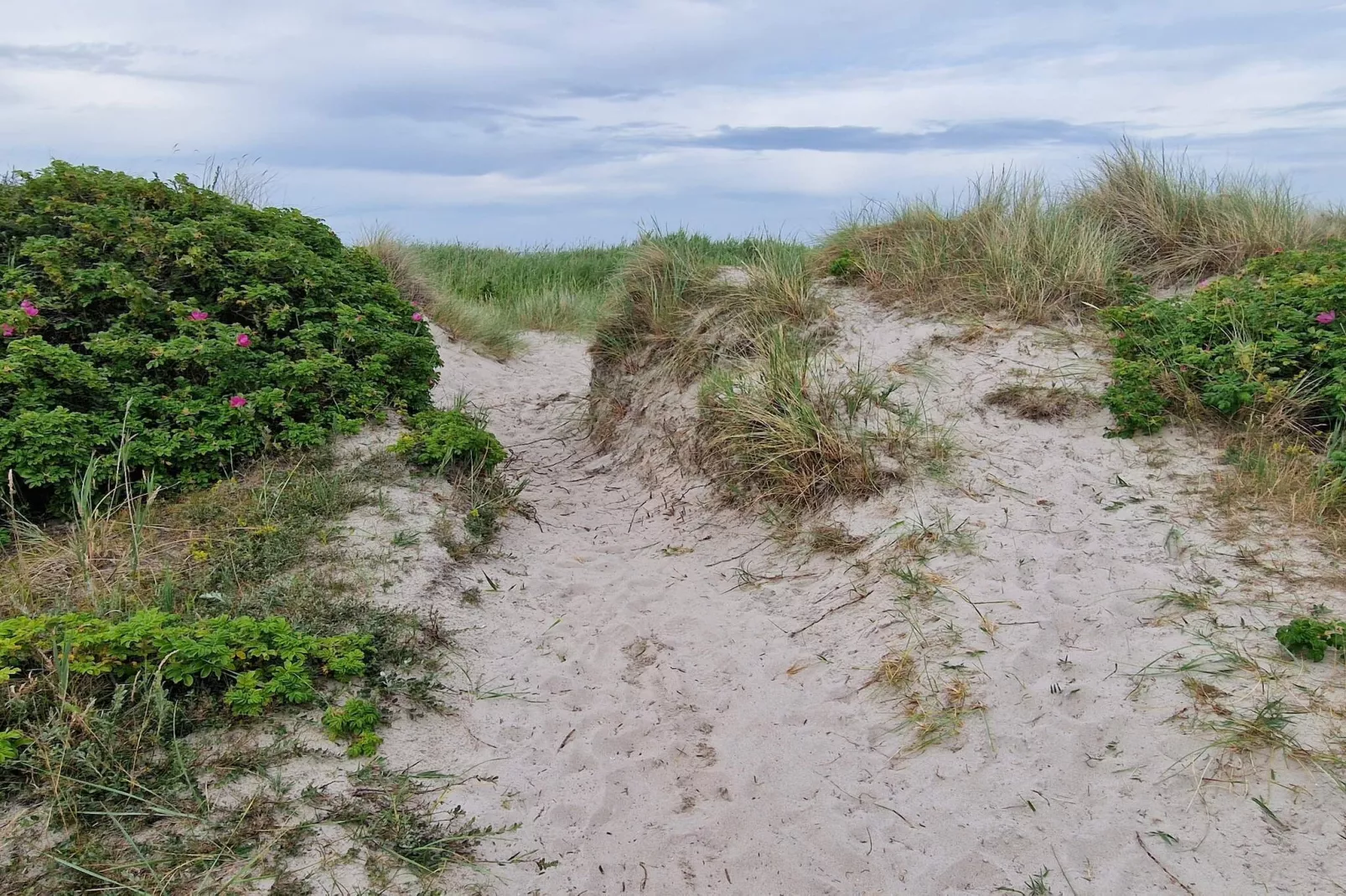 5 sterren vakantie huis in Hadsund-Niet-getagd