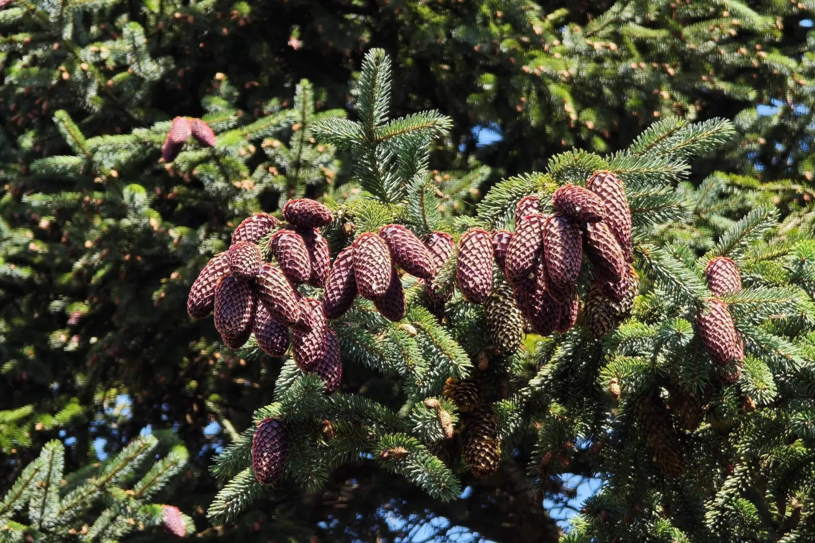 4 sterren vakantie huis in Vedbæk-Niet-getagd