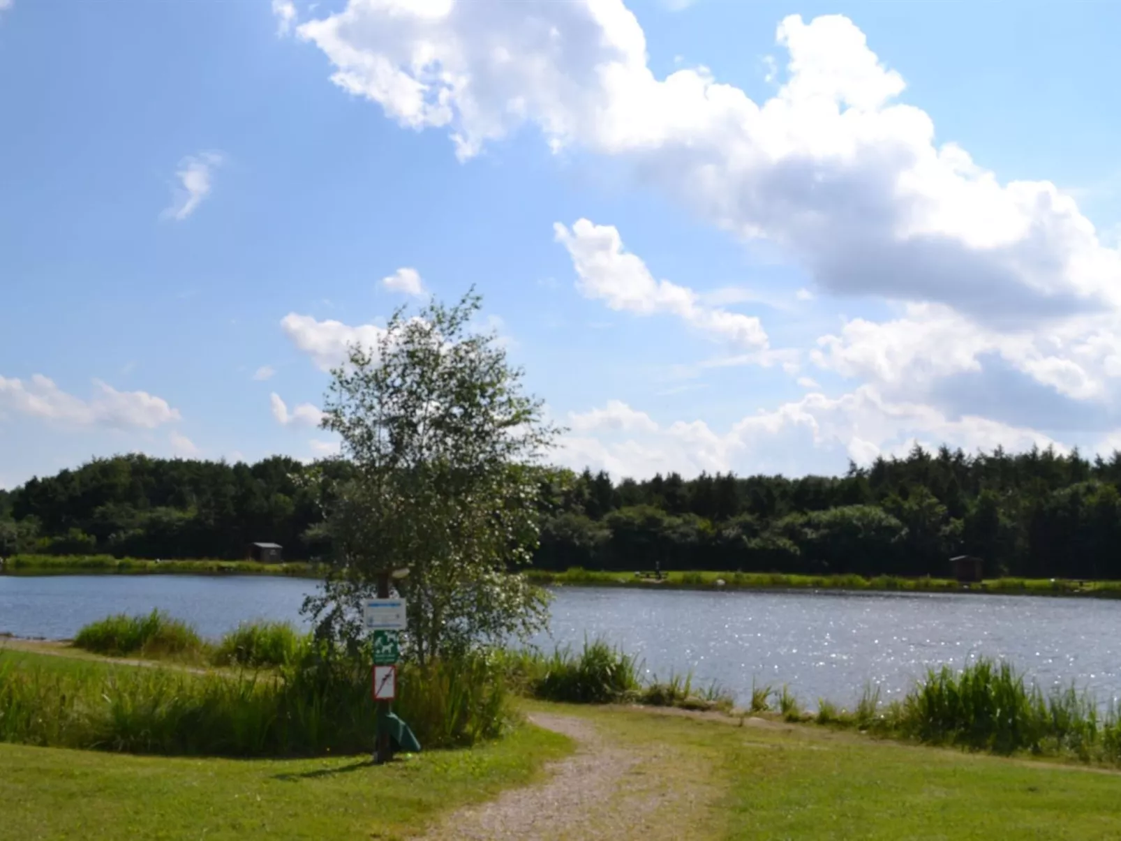 "Alvira" - 30km from the sea-Buiten