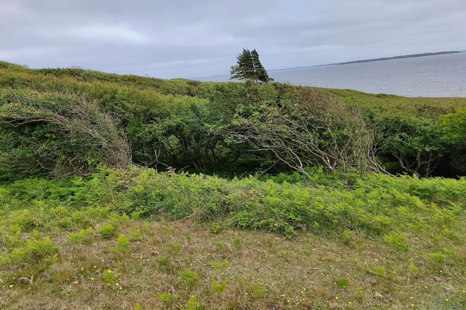 2 Personen vakantie huis in Grenaa-Niet-getagd