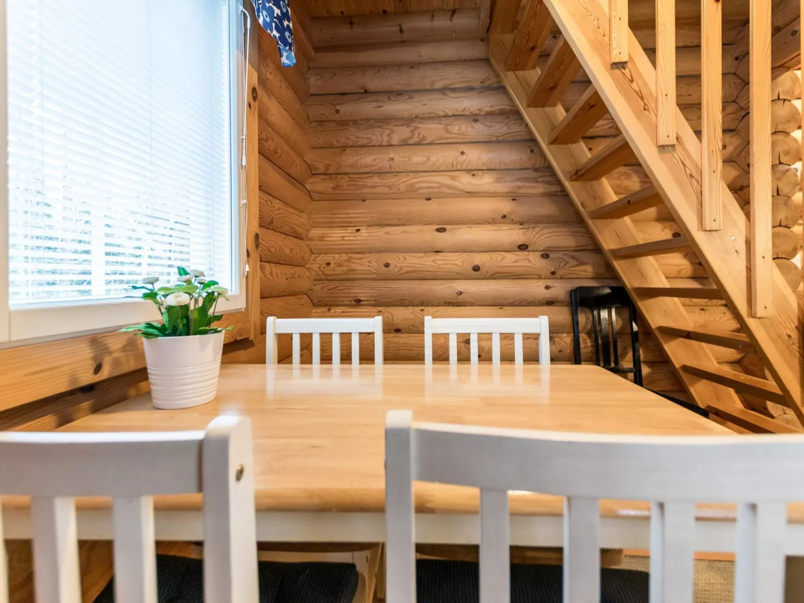 Kilpolan pauliina-Binnen