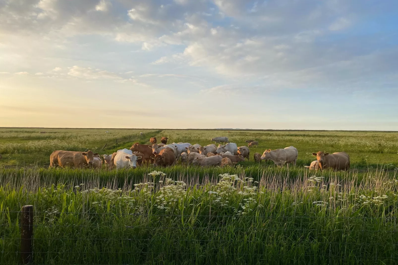 Ferienhaus Mühlenblick 07-Gebieden zomer 5km