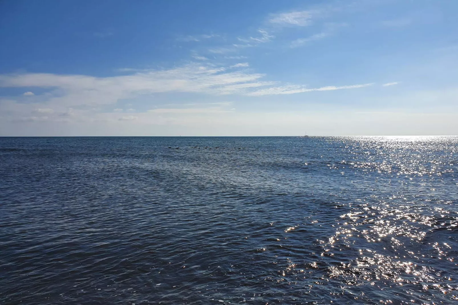 6 Personen vakantie huis in Gedser-Waterzicht