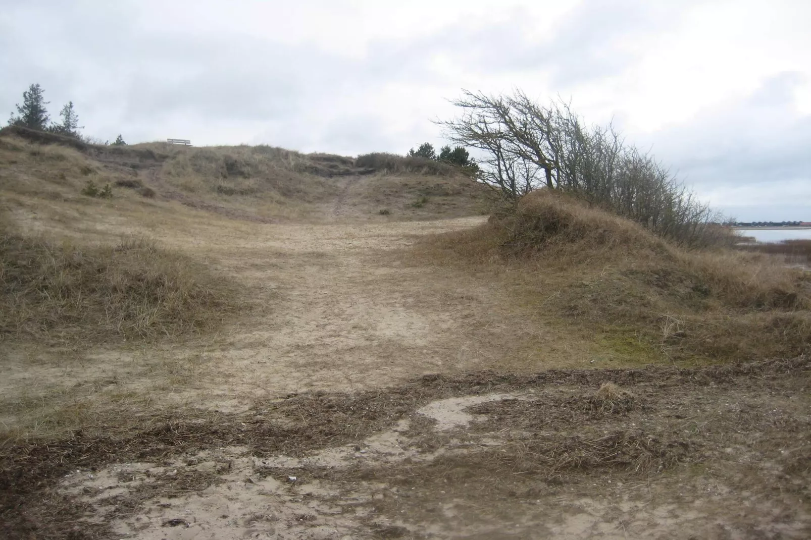 6 Personen vakantie huis in Hadsund-Niet-getagd