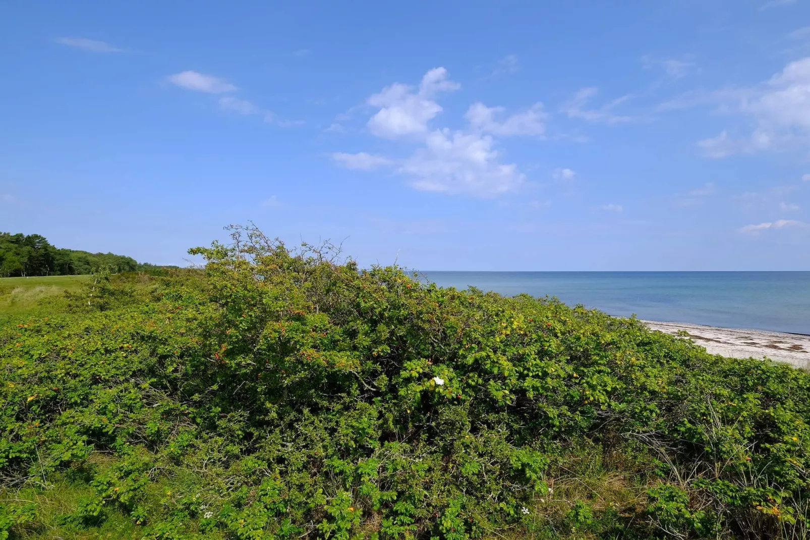 4 Personen vakantie huis in Gedser-Niet-getagd