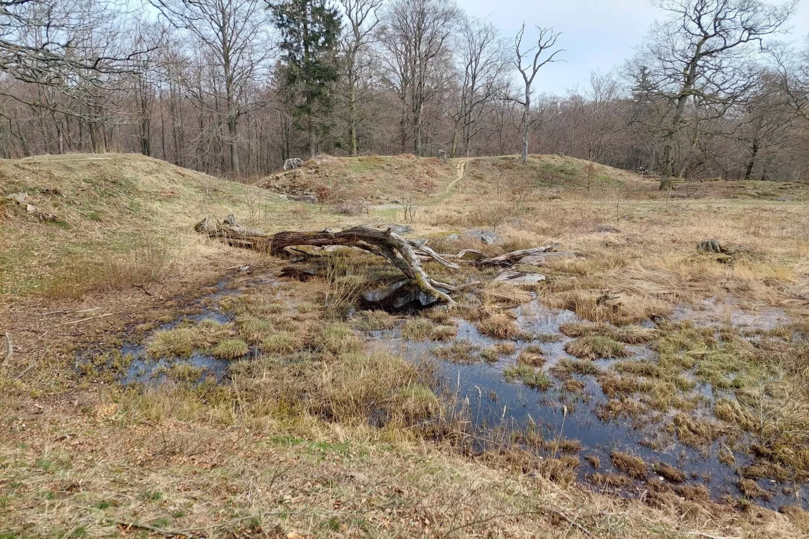5 Personen vakantie huis in Rønne-Niet-getagd