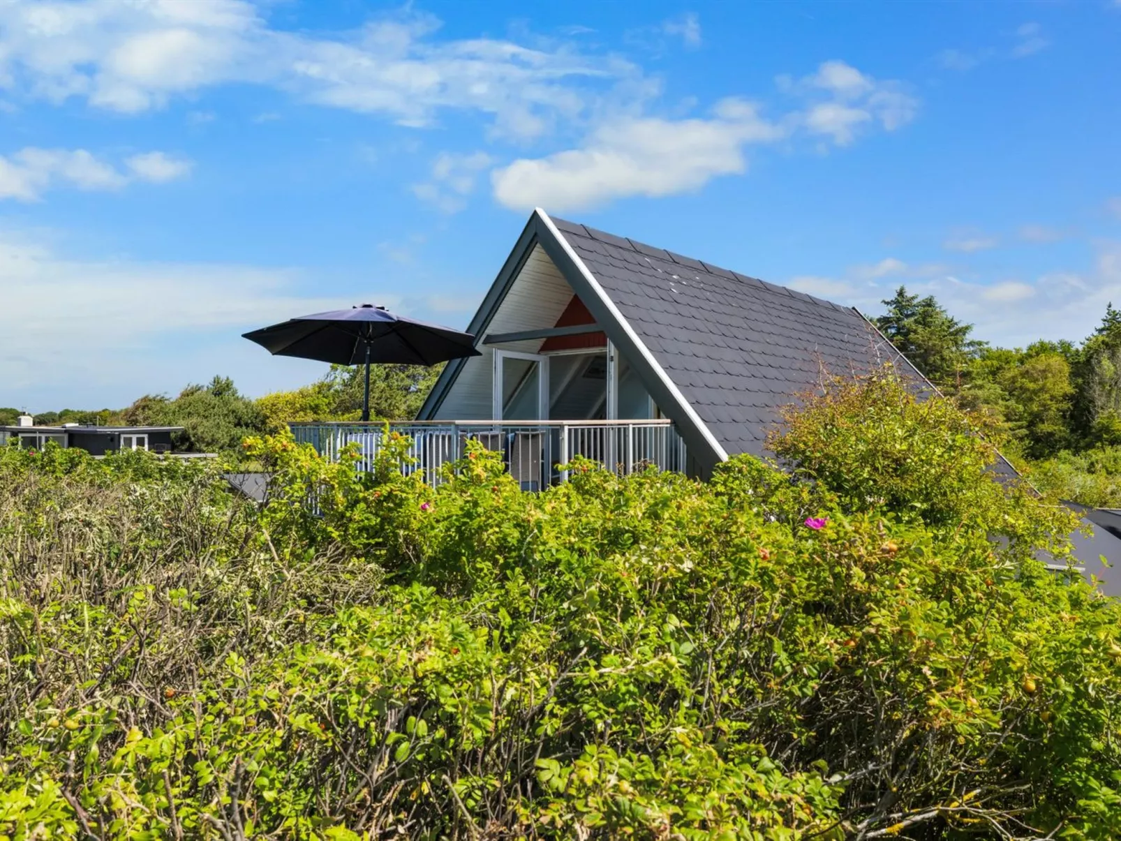 "Luci" - 20m from the sea-Buiten