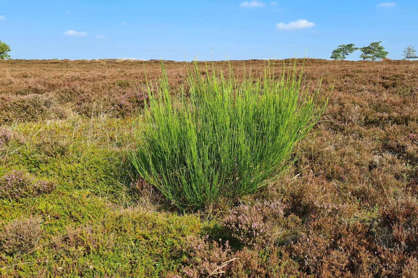 5 sterren vakantie huis in Farsø-Niet-getagd