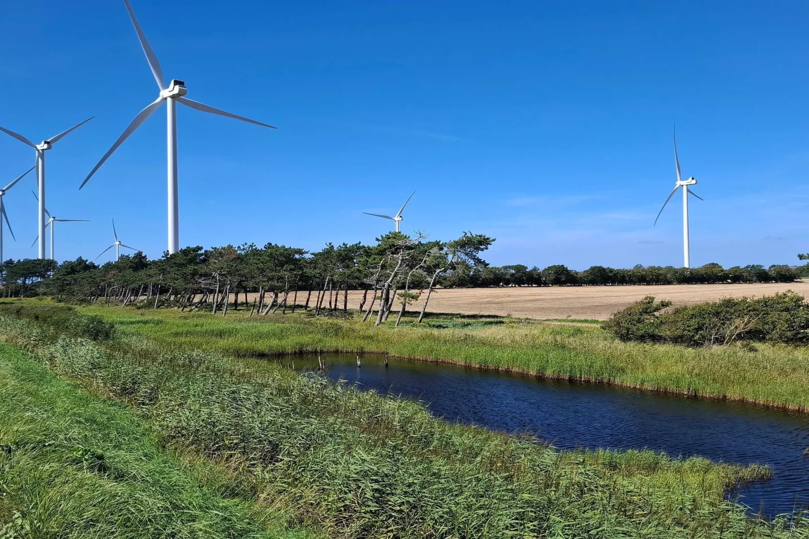 5 Personen vakantie huis in Nakskov-Waterzicht