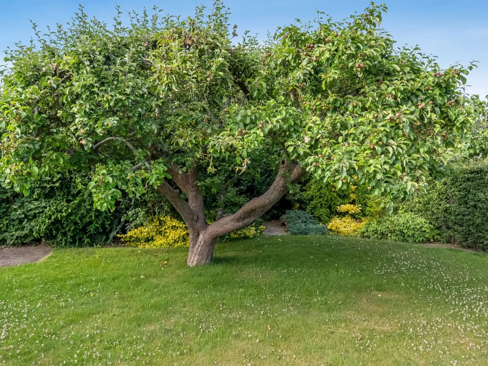 "Sampsa" - 75m from the sea-Buiten