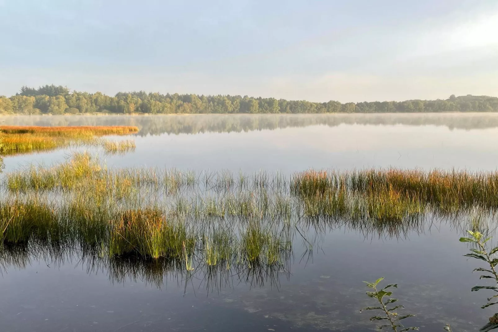 5 sterren vakantie huis in Ansager