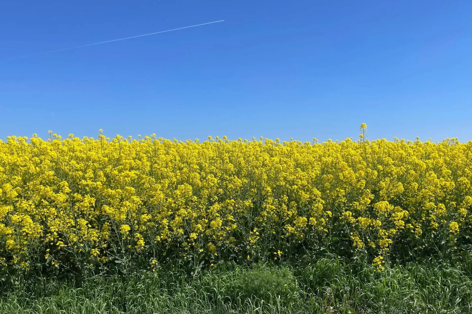 4 sterren vakantie huis in oxie-Niet-getagd