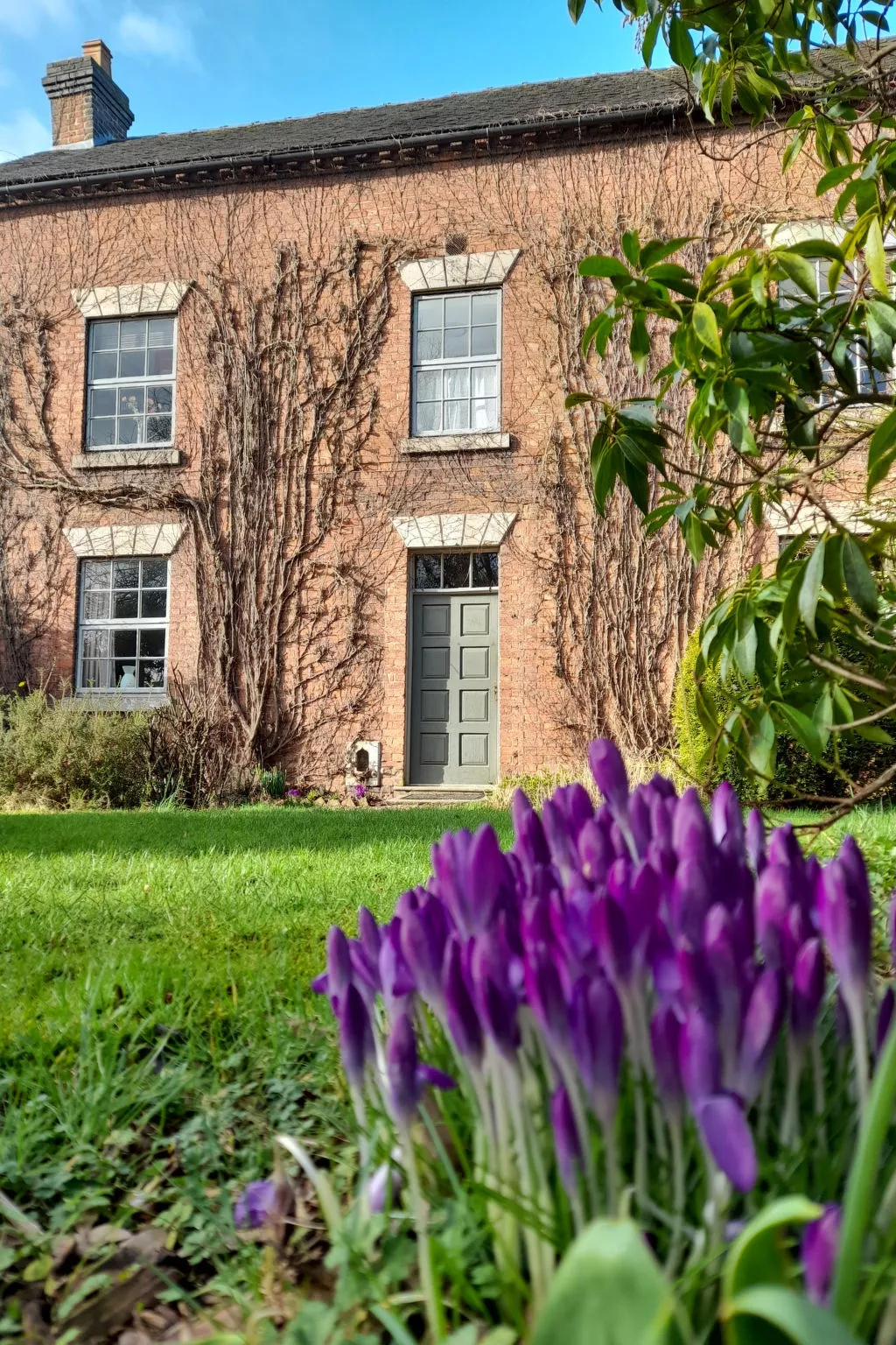 The Farmhouse-Buiten