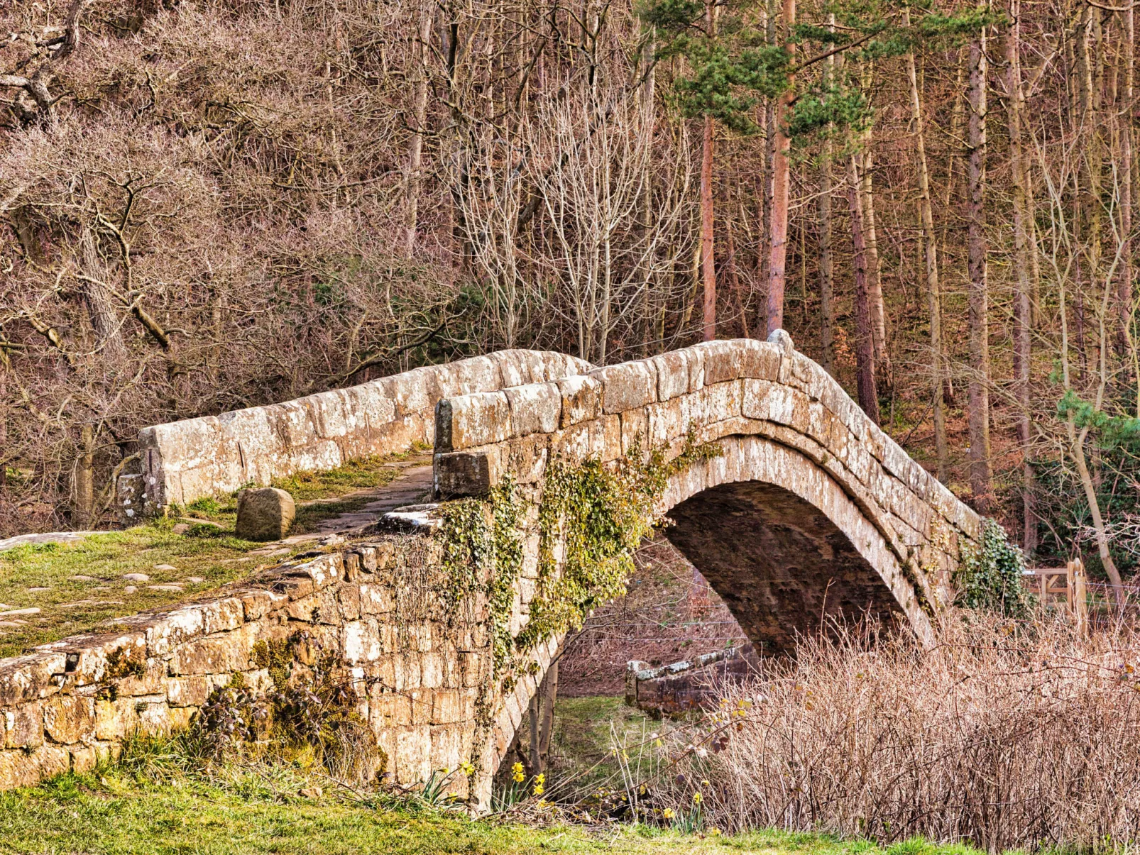 Ingleside Cottage-Buiten
