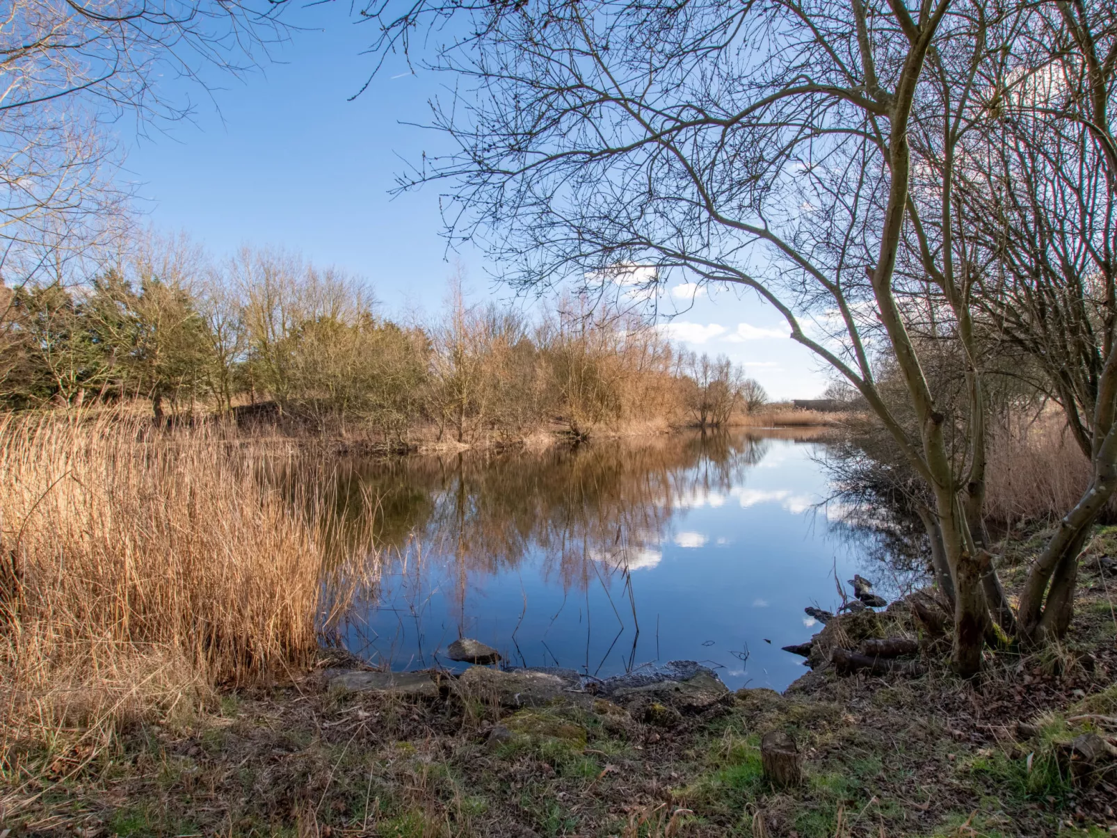 Hazel Rose Cottage-Buiten