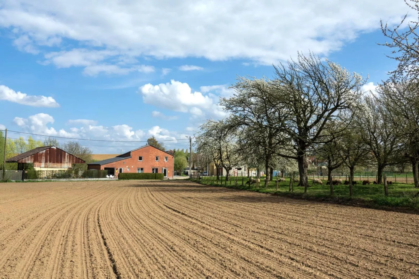De Smishoeve volledig - met wellness-Gebieden zomer 1km
