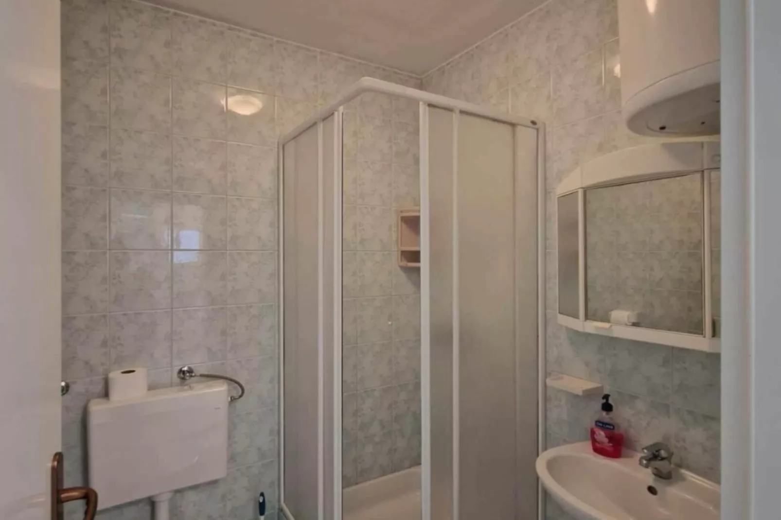 Apartments Dana - One Bedroom Apartment 4-Badkamer