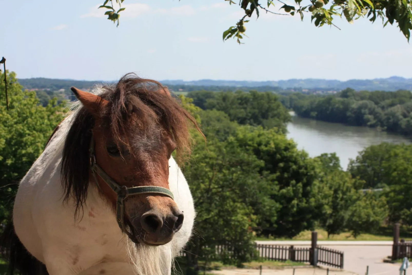 Zevnik Quiet Retreat with Stunning Views and Equestrian Activities - Triple Room with Private  Bathroom-Buitenlucht