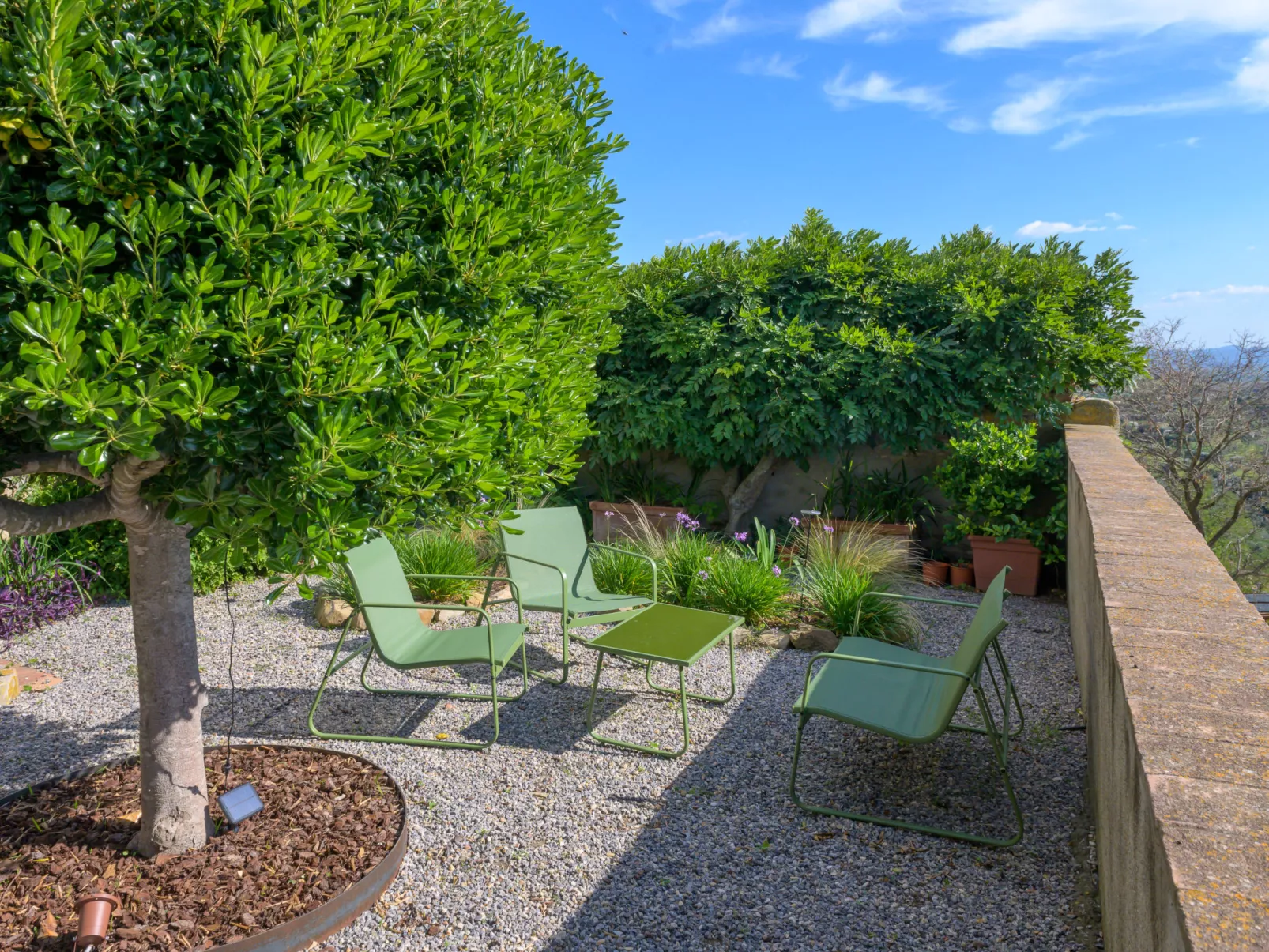 Il Belvedere di Montiano-Buiten