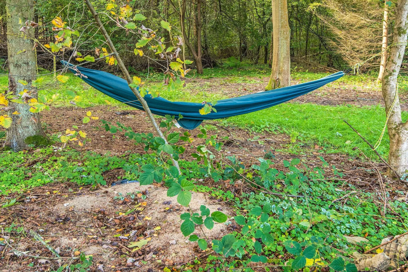 4 sterren vakantie huis in Ry-Uitzicht