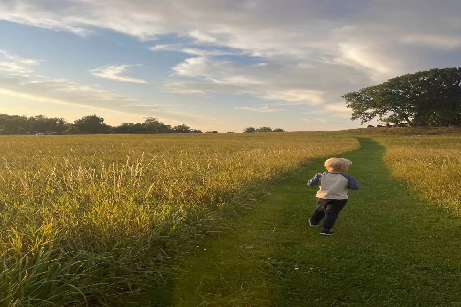 5 sterren vakantie huis in Vordingborg-Niet-getagd