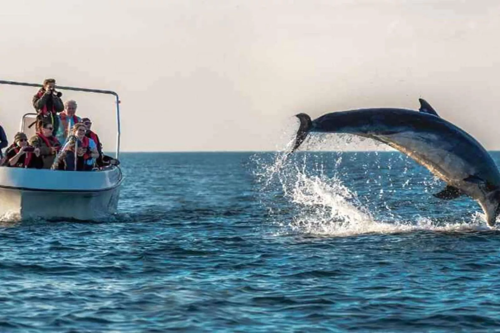 5 sterren vakantie huis in Harboøre-Niet-getagd