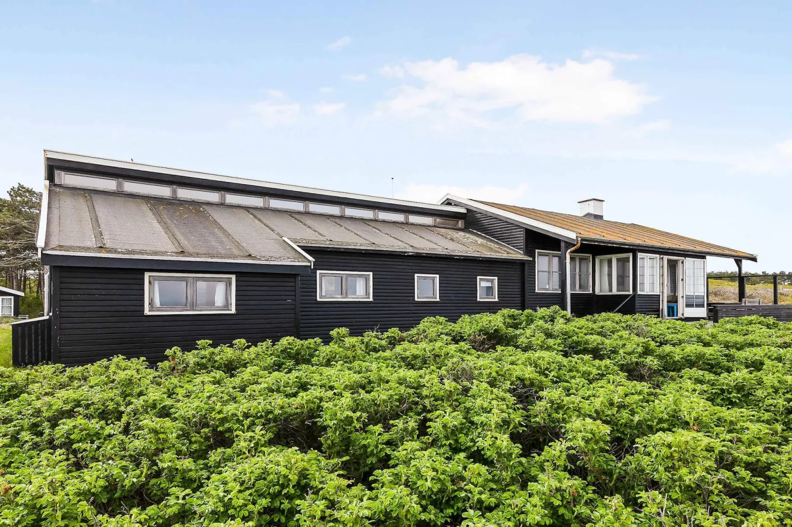 5 sterren vakantie huis in Rørvig-Buitenlucht